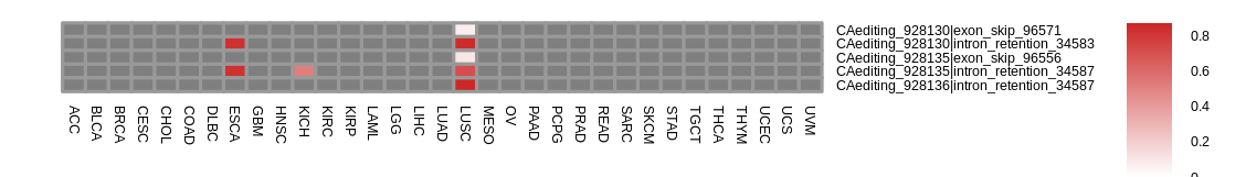 boxplot