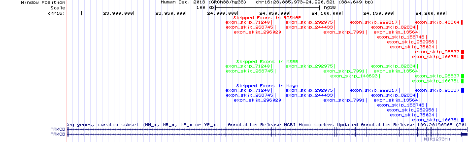 all structure