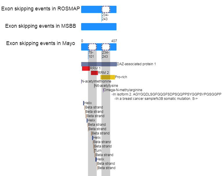 ExonSkipAD: functional annotation of exon skipping event in human - Search