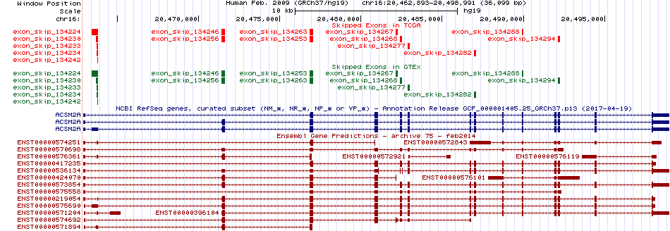 all structure
