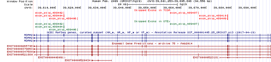 all structure