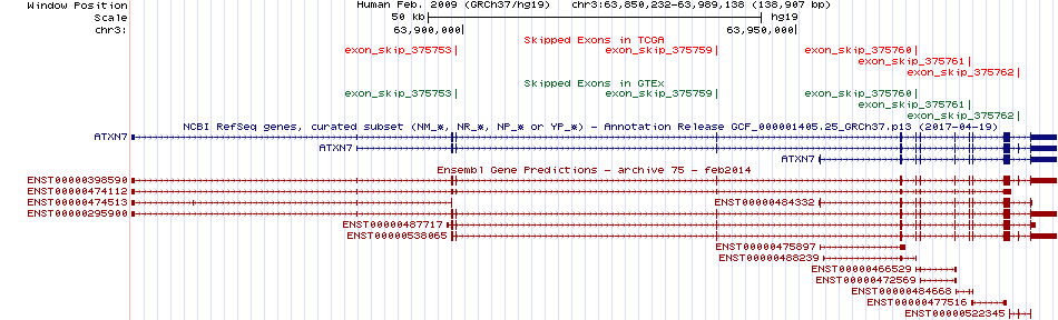 all structure