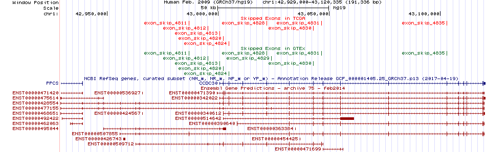 all structure