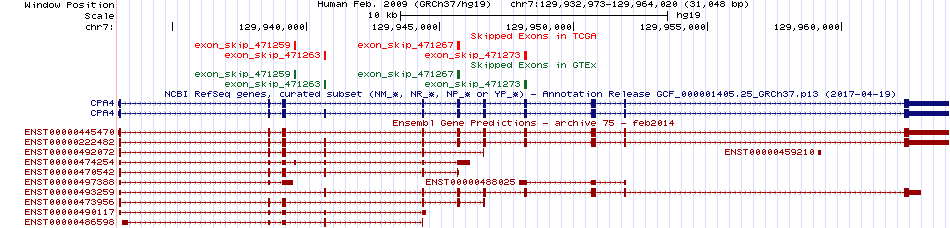all structure
