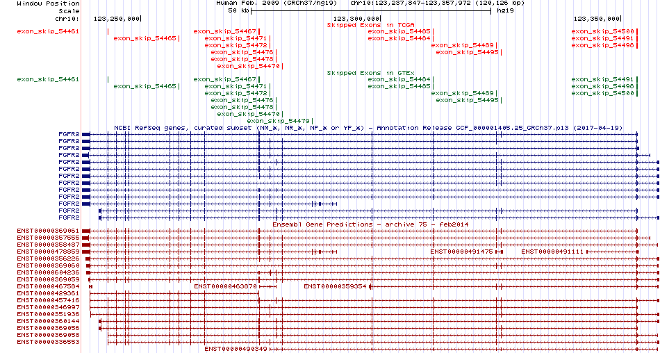 all structure