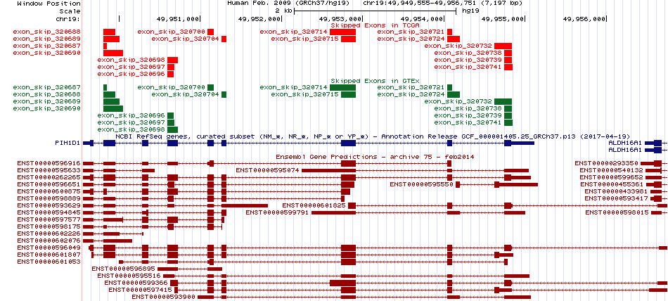 all structure