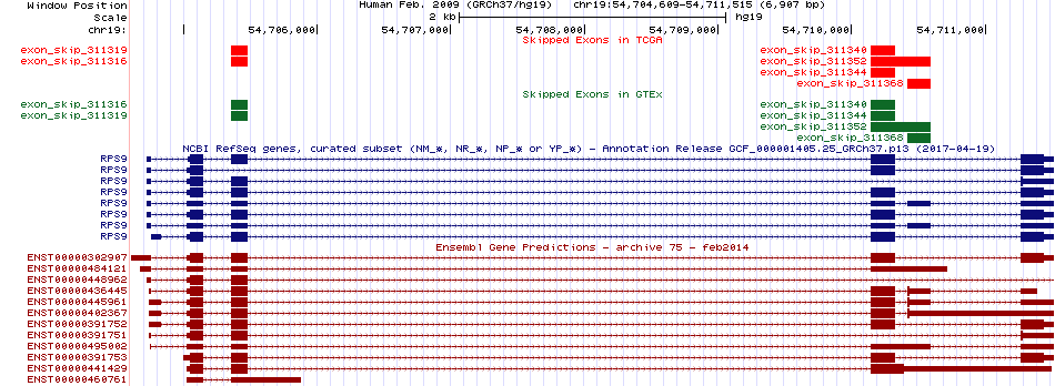 all structure