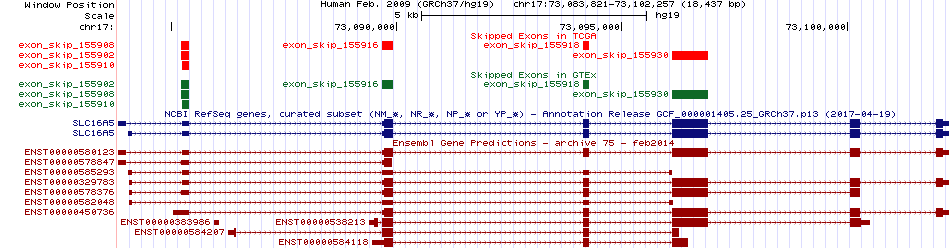 all structure