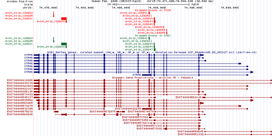 all structure