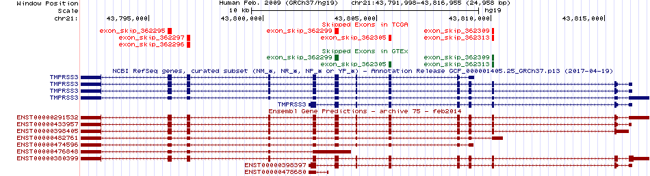 all structure