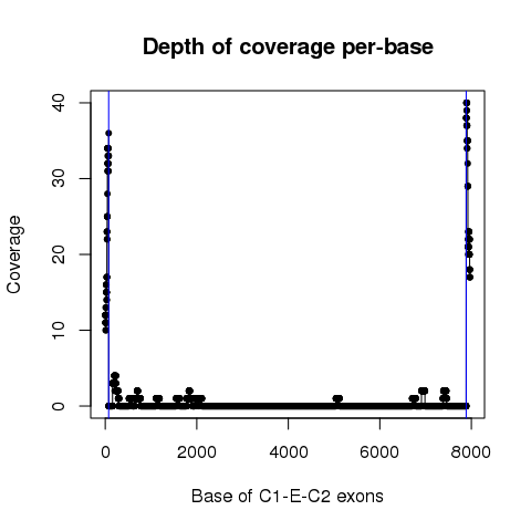ANK3_61827692_61827767_61828394_61836206_61840294_61840376_TCGA-AP-A0LH-01