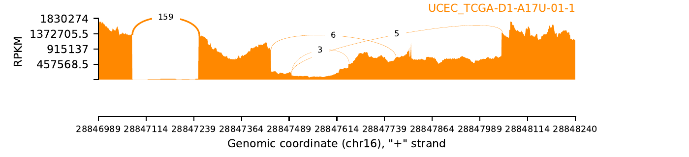 boxplot