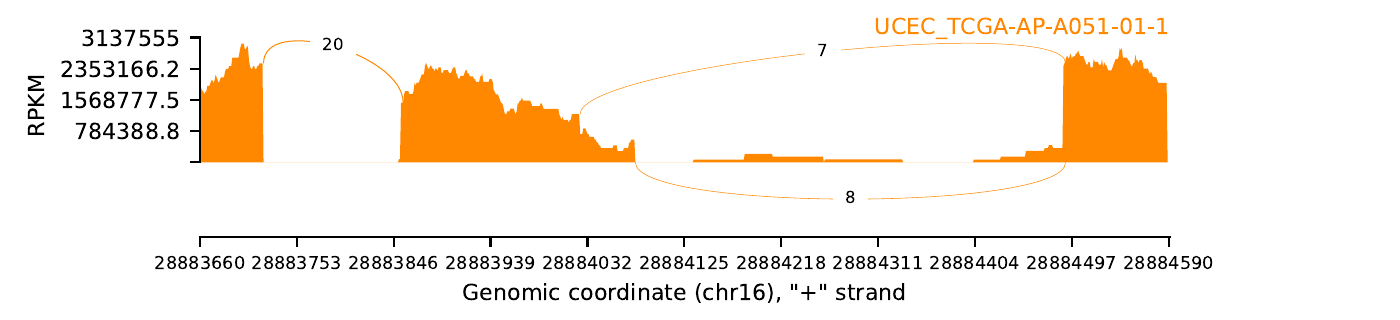 boxplot