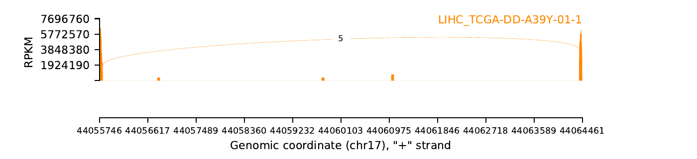 ExonSkipDB: Functional Annotation Of Exon Skipping Event In Human - Search