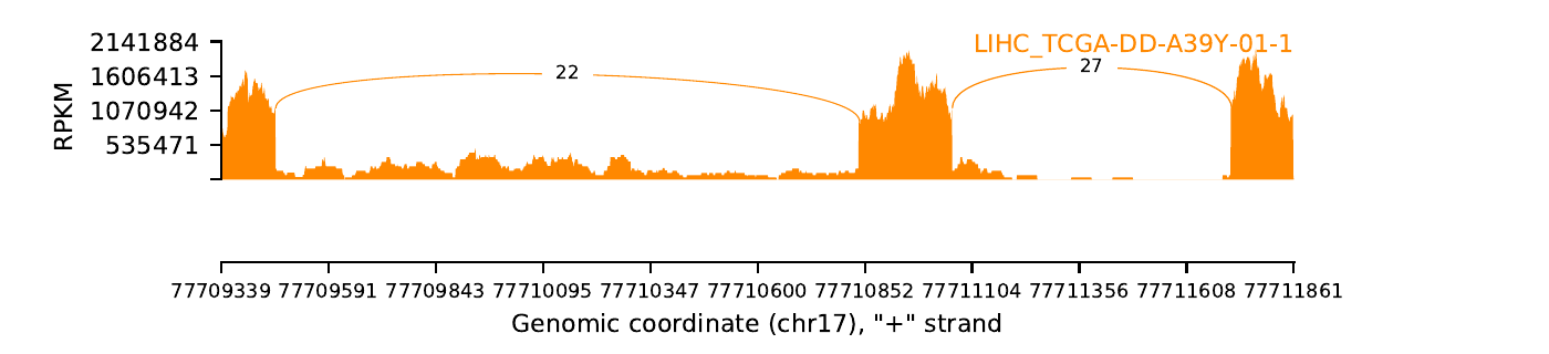 boxplot