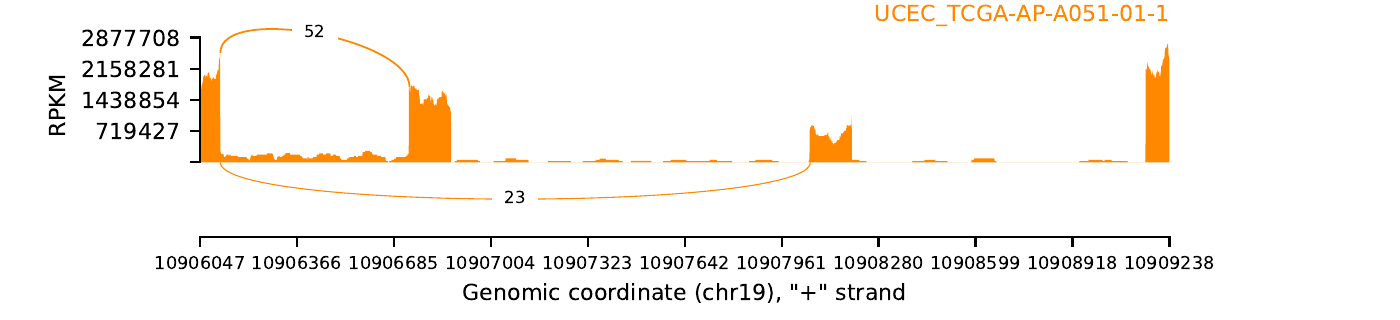boxplot