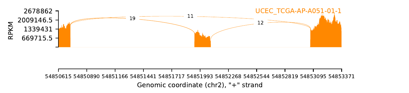 boxplot