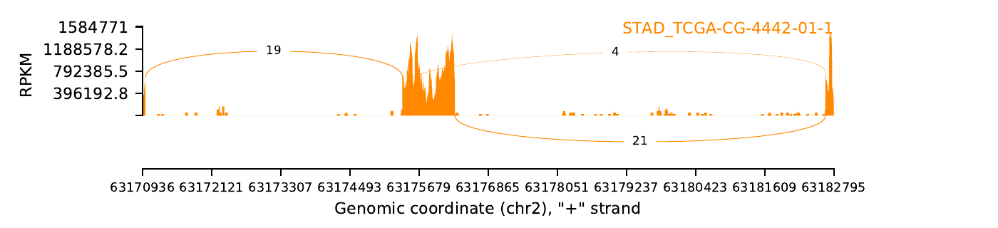 boxplot