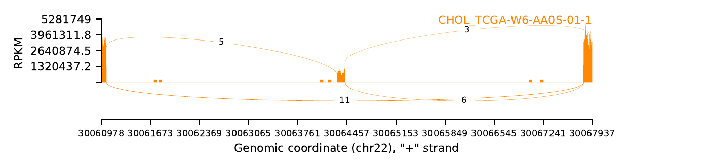 boxplot