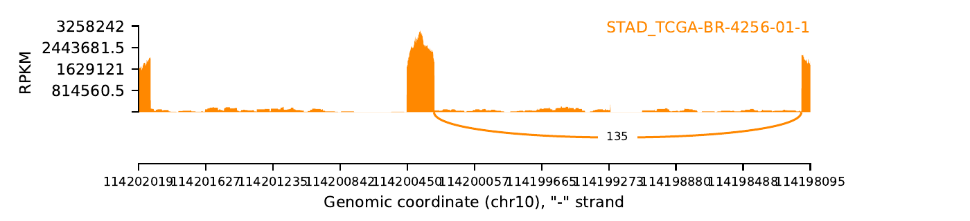 boxplot
