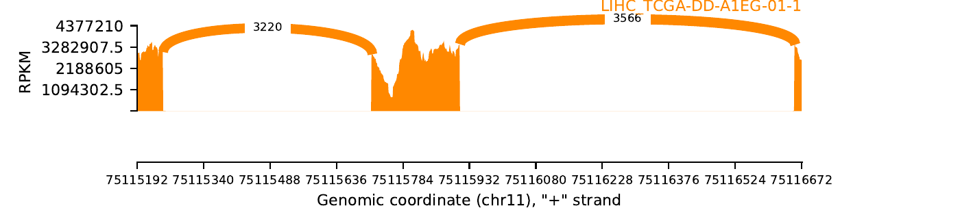 boxplot