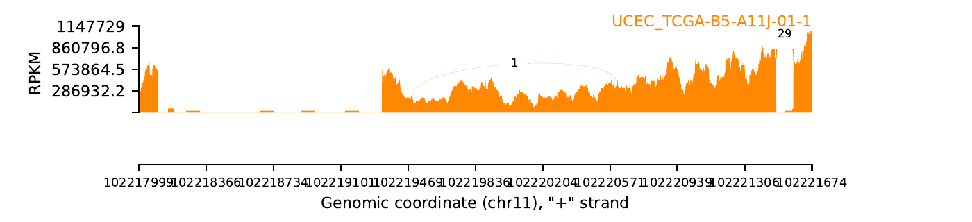 boxplot
