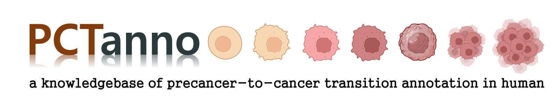 Schematic overview of the cellular and molecular mechanisms involved in the cancer progression, including the proposed cellular and molecular mechanisms in cancer cells trajectory. AT1: alveolar type 1 cells; AT2: alveolar type 2 cells; AAH: atypical adenomatous hyperplasia; AIS: adenocarcinoma in situ; MIA: minimally invasive adenocarcinoma; IA: invasive adenocarcinoma; EMT: epithelial-mesenchymal transition