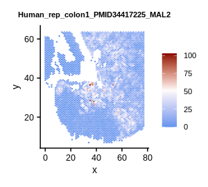 Spatial Transcriptomics Colon SPASCER: spatial transcriptomics annotation at single cell resolution