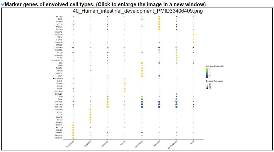 Cell type marker genes