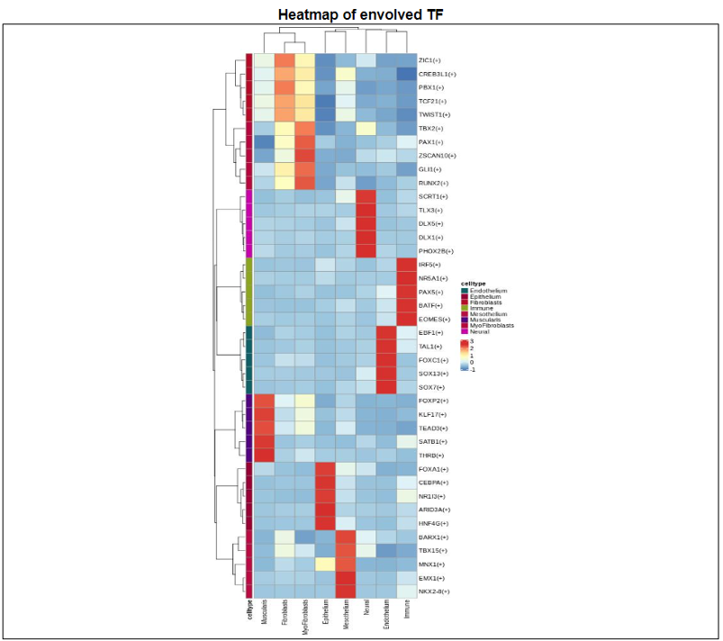  Heatmap of TF list