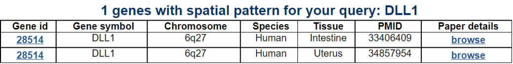 gene search result