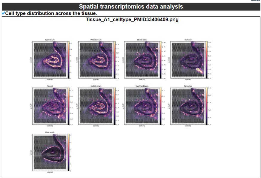 scRNA-seq CCI