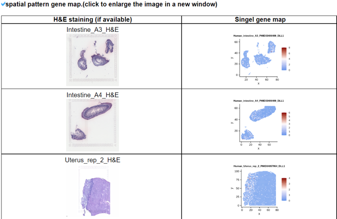 Single gene spatial pattern maps