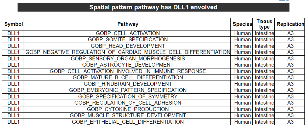 Pathway has spatial pattern