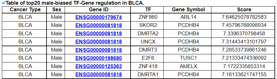 TF-Gene regulation in BLCA