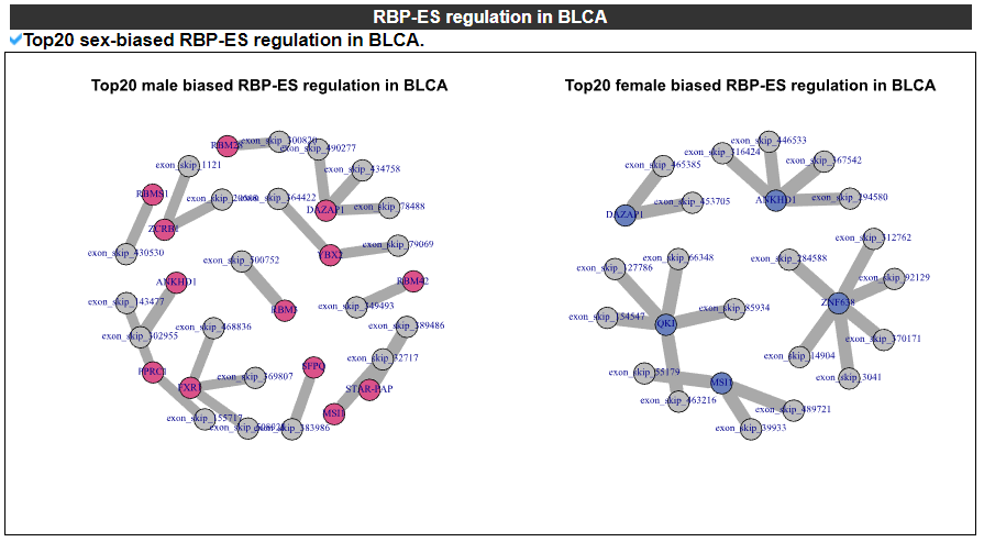 RBP-ES regulation in BLCA