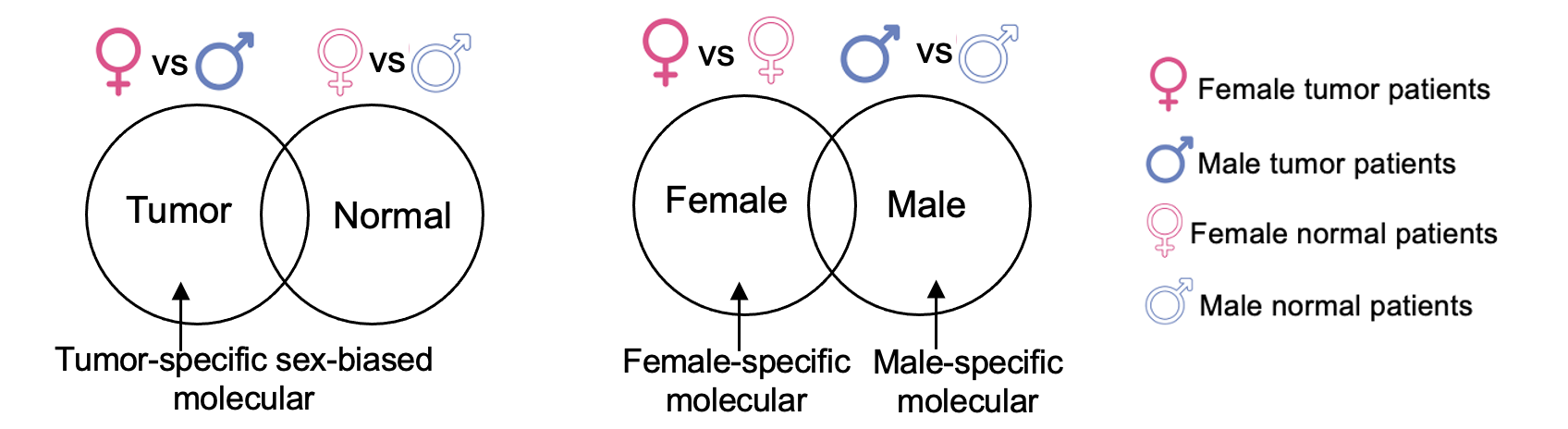 sex difference molecules