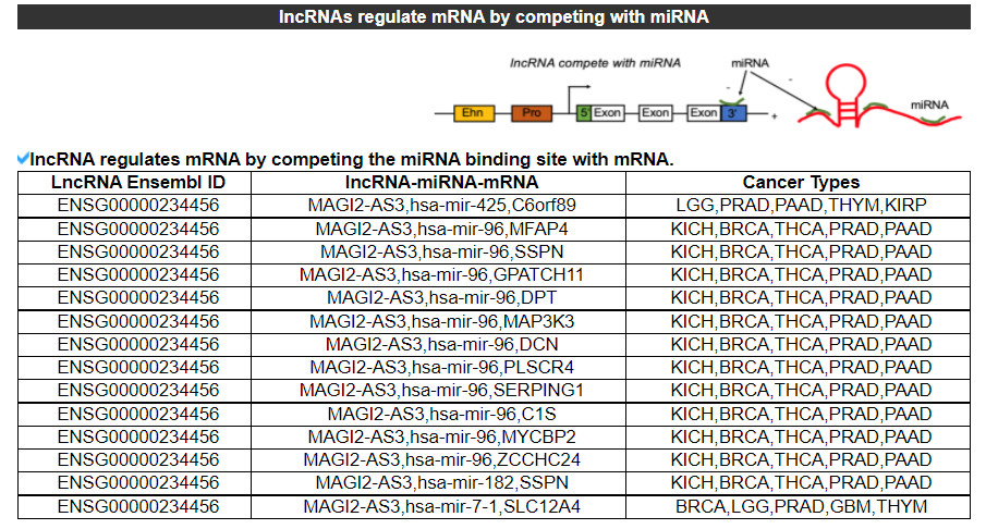 miRNA regulation of MAGI2-AS3