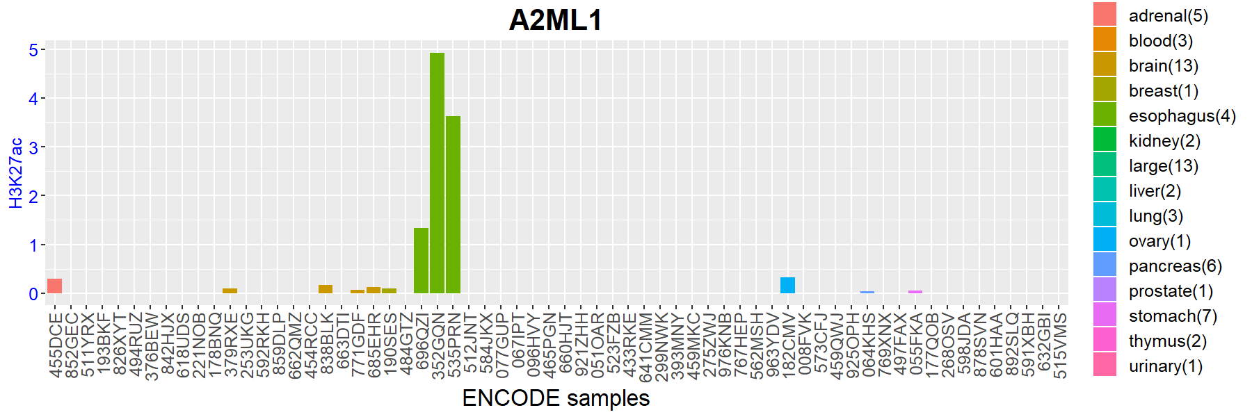 miRactDB: miRNA-associated gene activation DataBase - Search