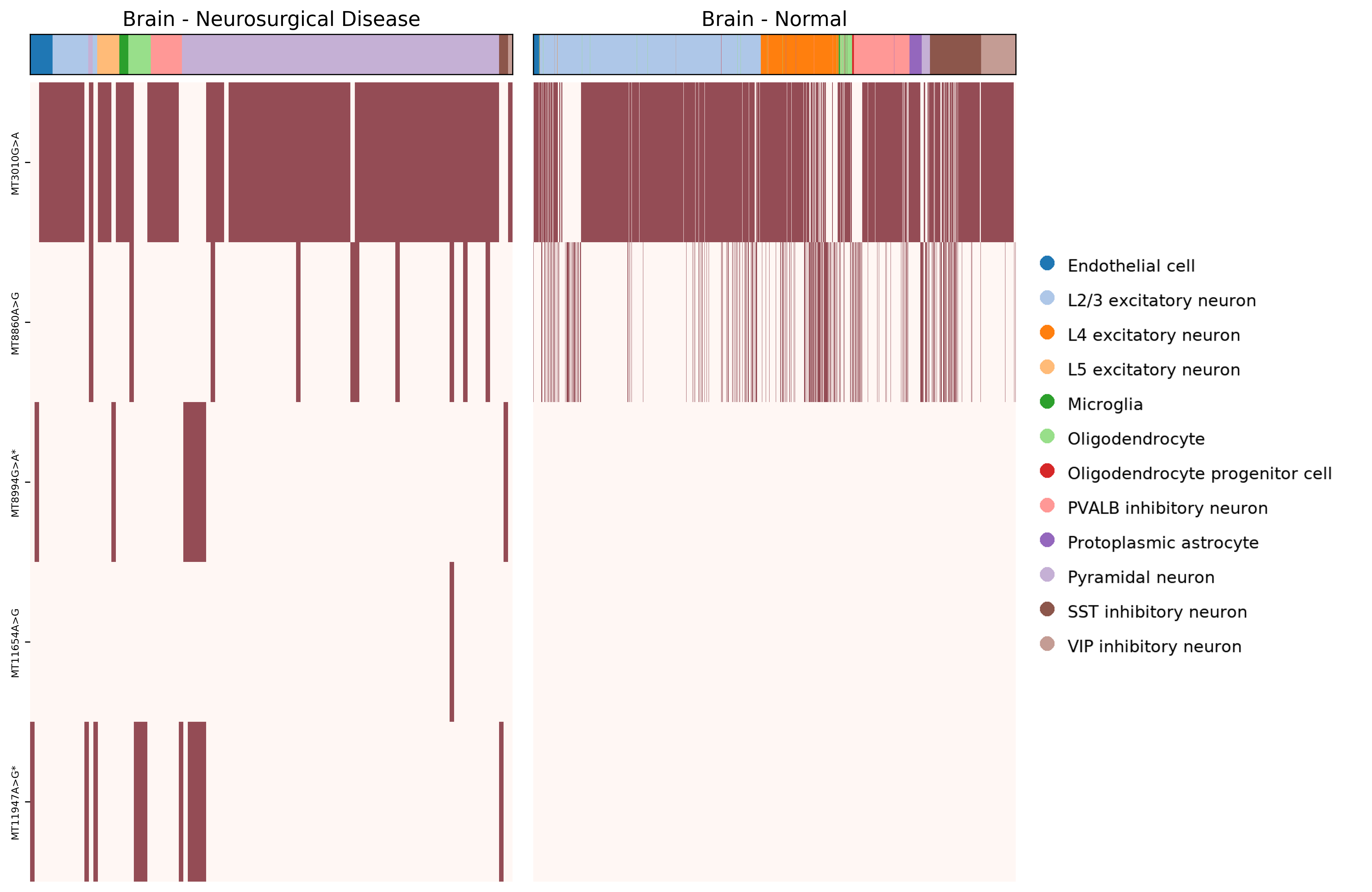 scMitoV: Single-cell resolution landscape of mitochondrial variants in ...