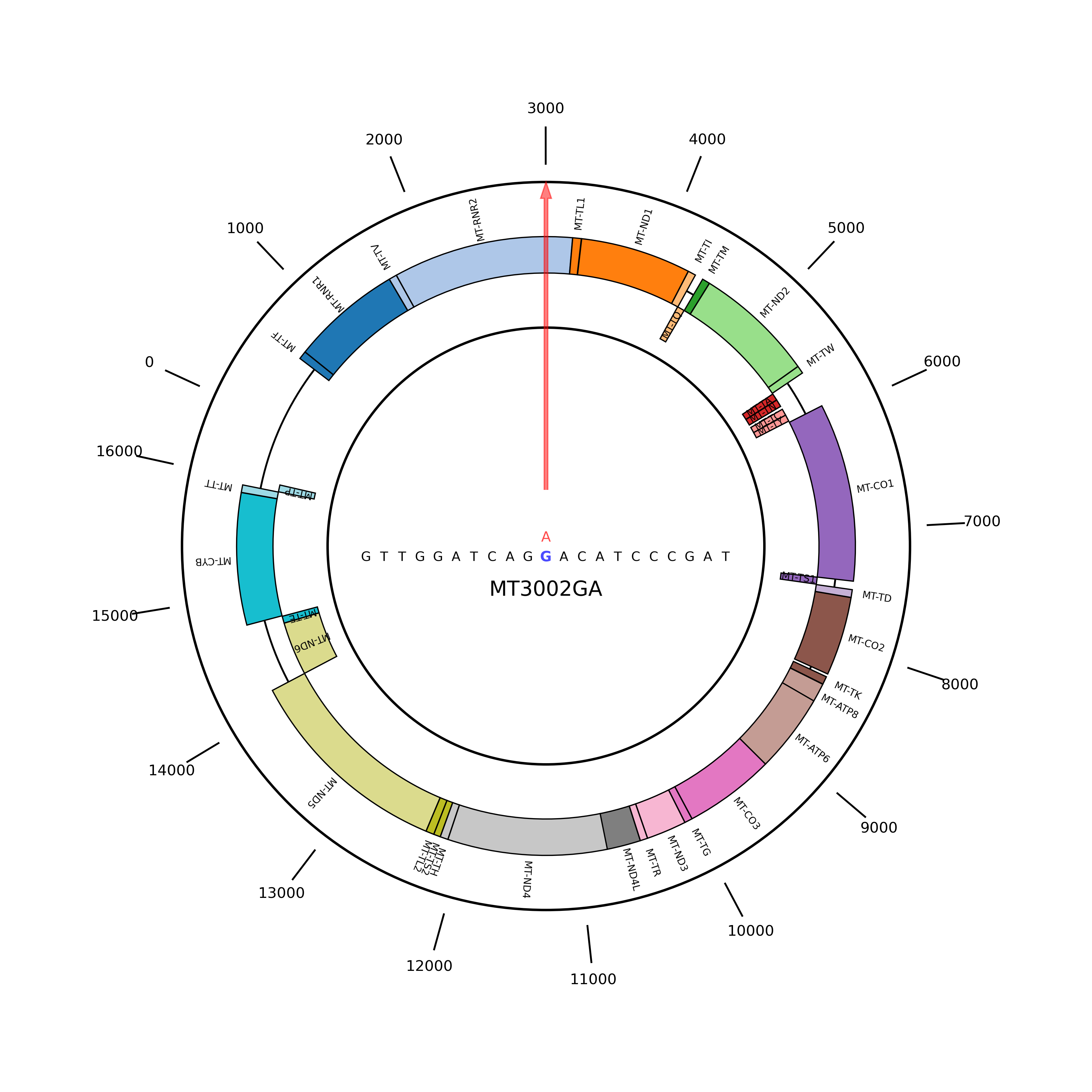 This image shows the chromosomal location of the variant and the genomic sequence 50 bp above and below it.